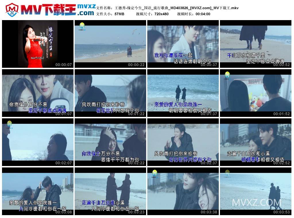 王德秀-缘定今生_国语_流行歌曲_MD403826
